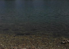 Photo #208910 by Kico_one