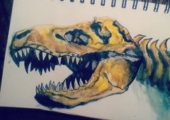 Photo #157443 by Amek