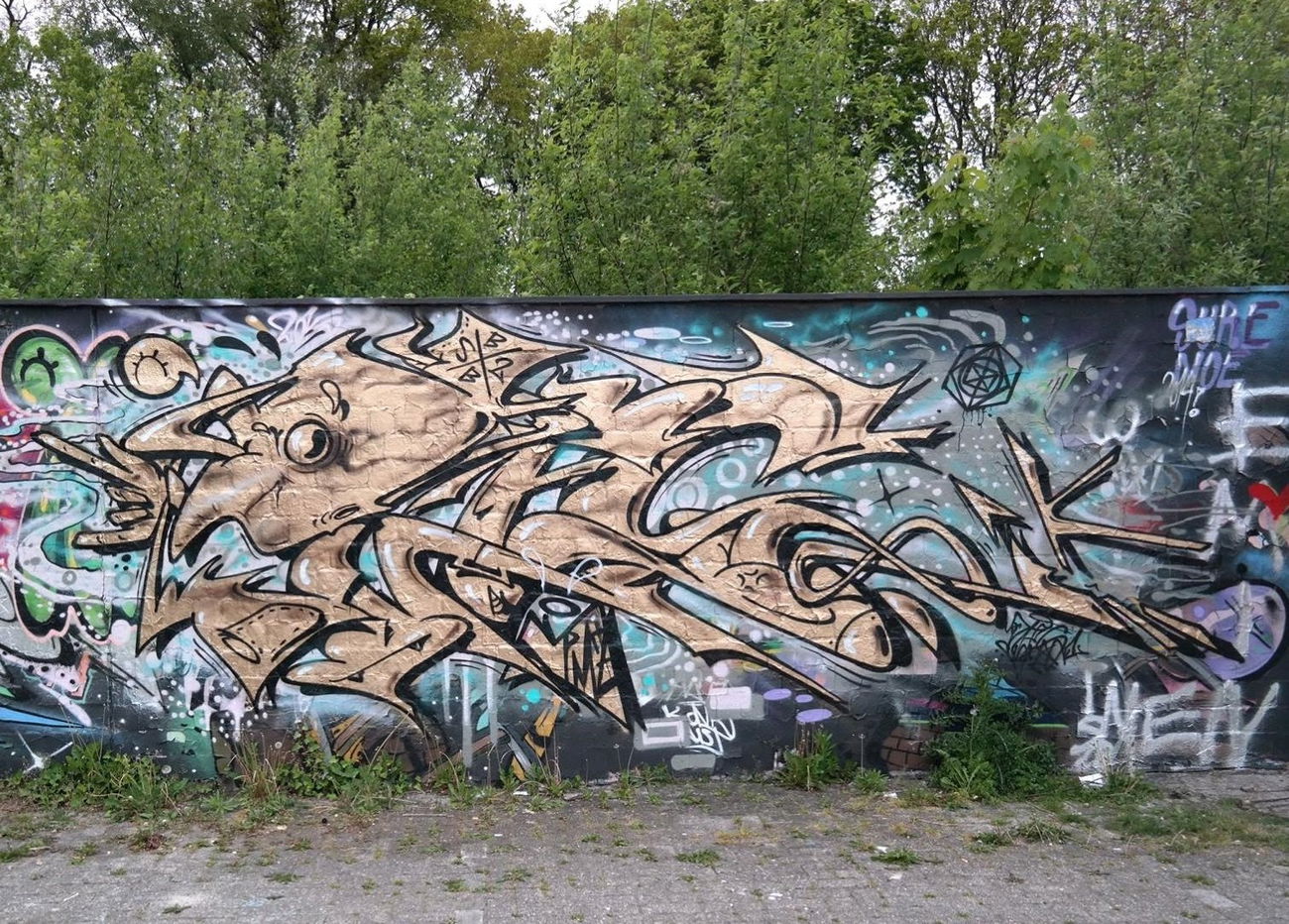Graffiti Wall - Photo by Pleswag - ples, plesone, gold (2015)