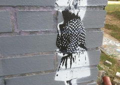 Photo #36454 by ZALEZ