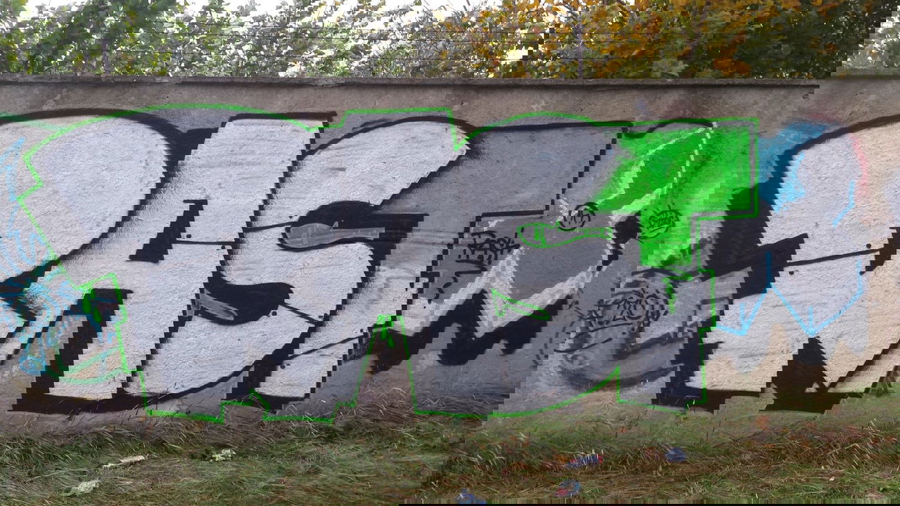 Graffiti Bombing - Photo by Poldek