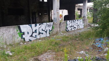 Graffiti Wall - Photo by Poldek - rast, fisic