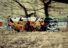 Photo #86378 by TagHagel