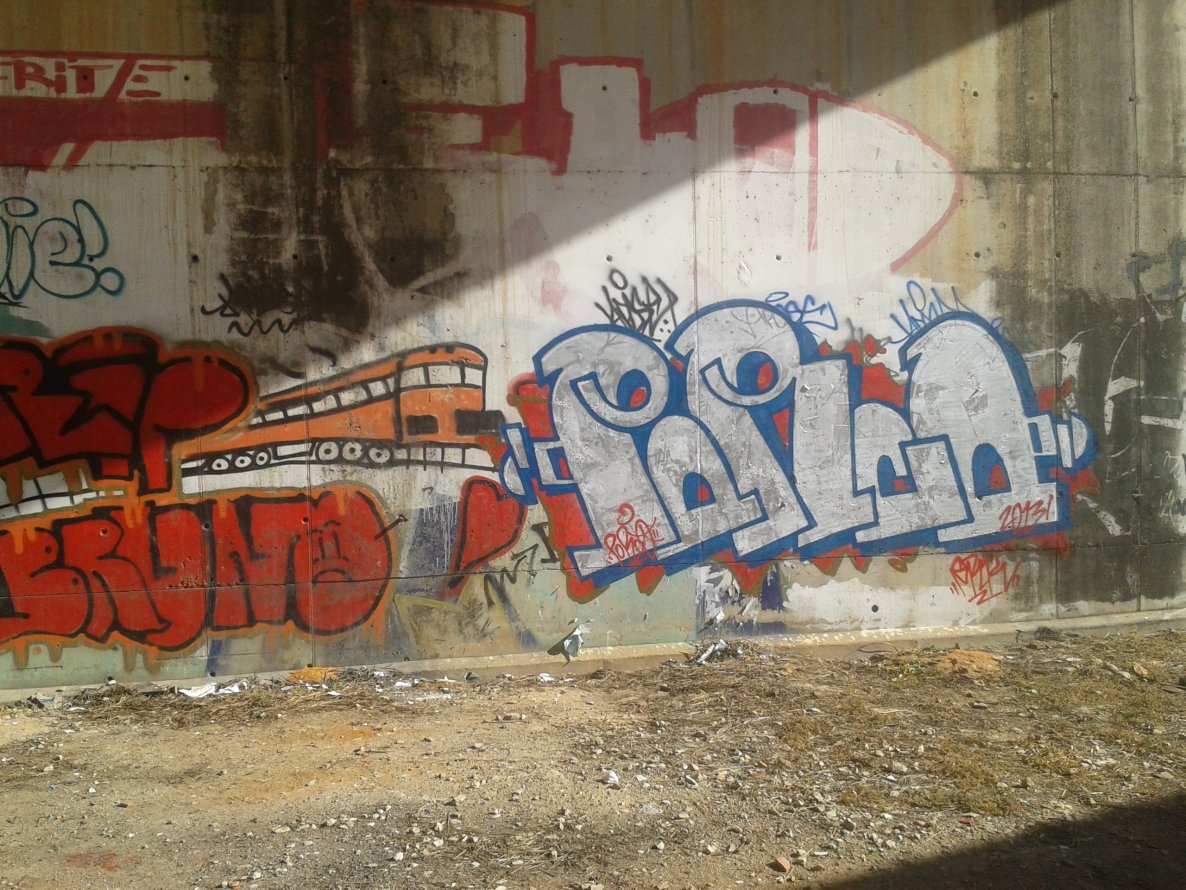 Graffiti Bombing - Photo by PorcOnoner