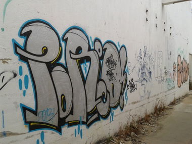 Graffiti Bombing - Photo by PorcOnoner