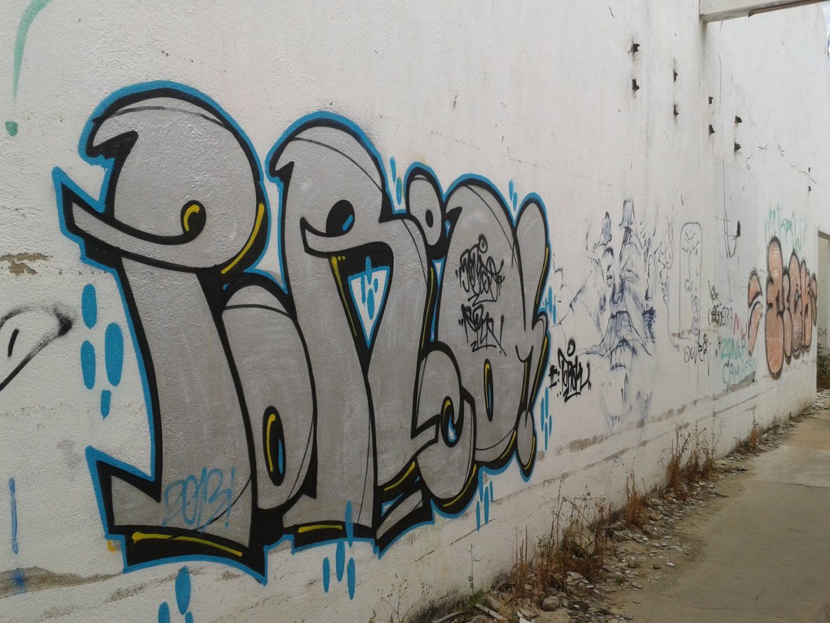 Graffiti Bombing - Photo by PorcOnoner