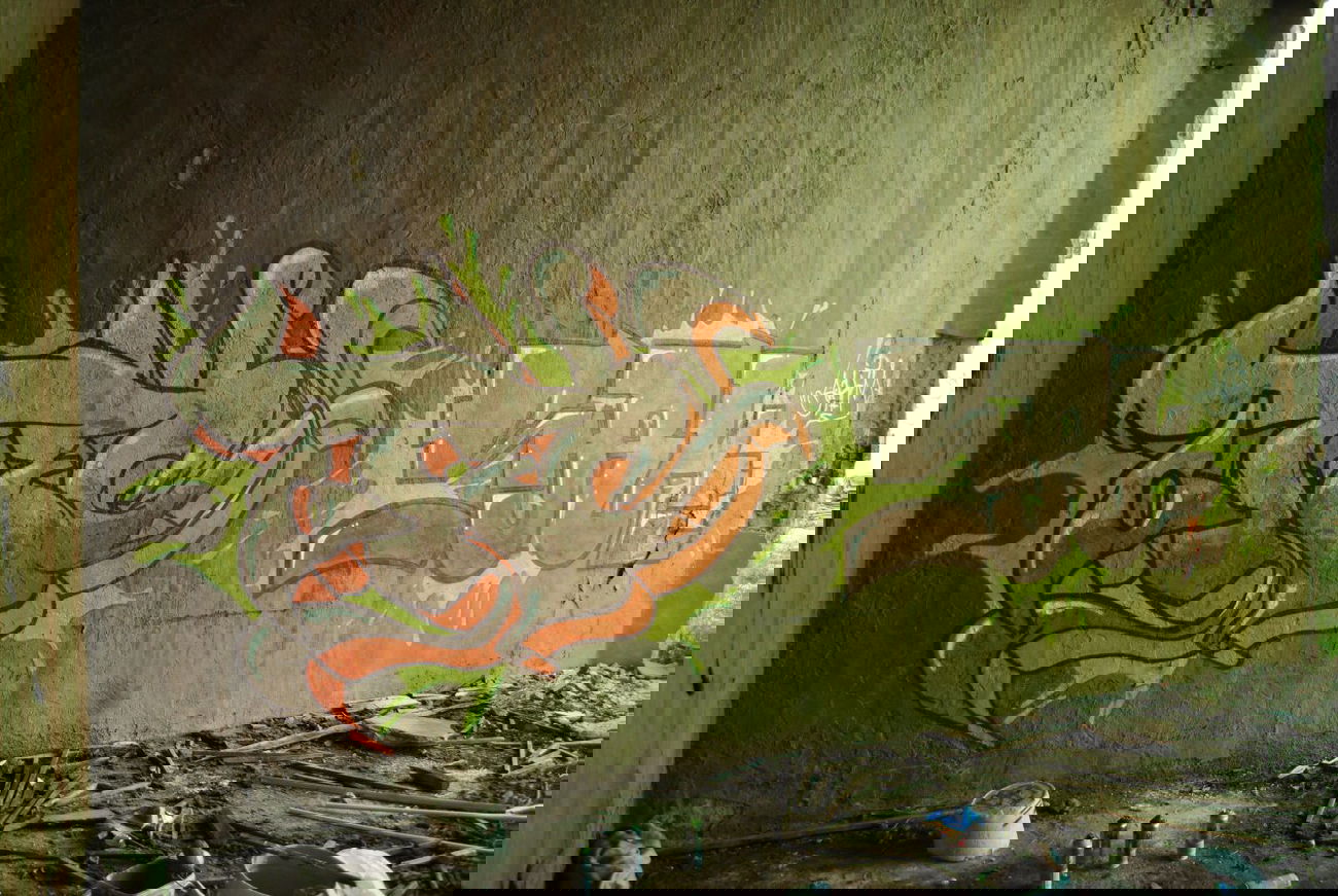 Graffiti Wall - Photo by PorcOnoner