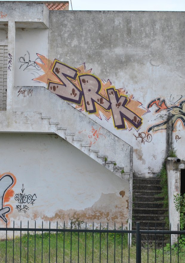 Graffiti Bombing - Photo by PorcOnoner