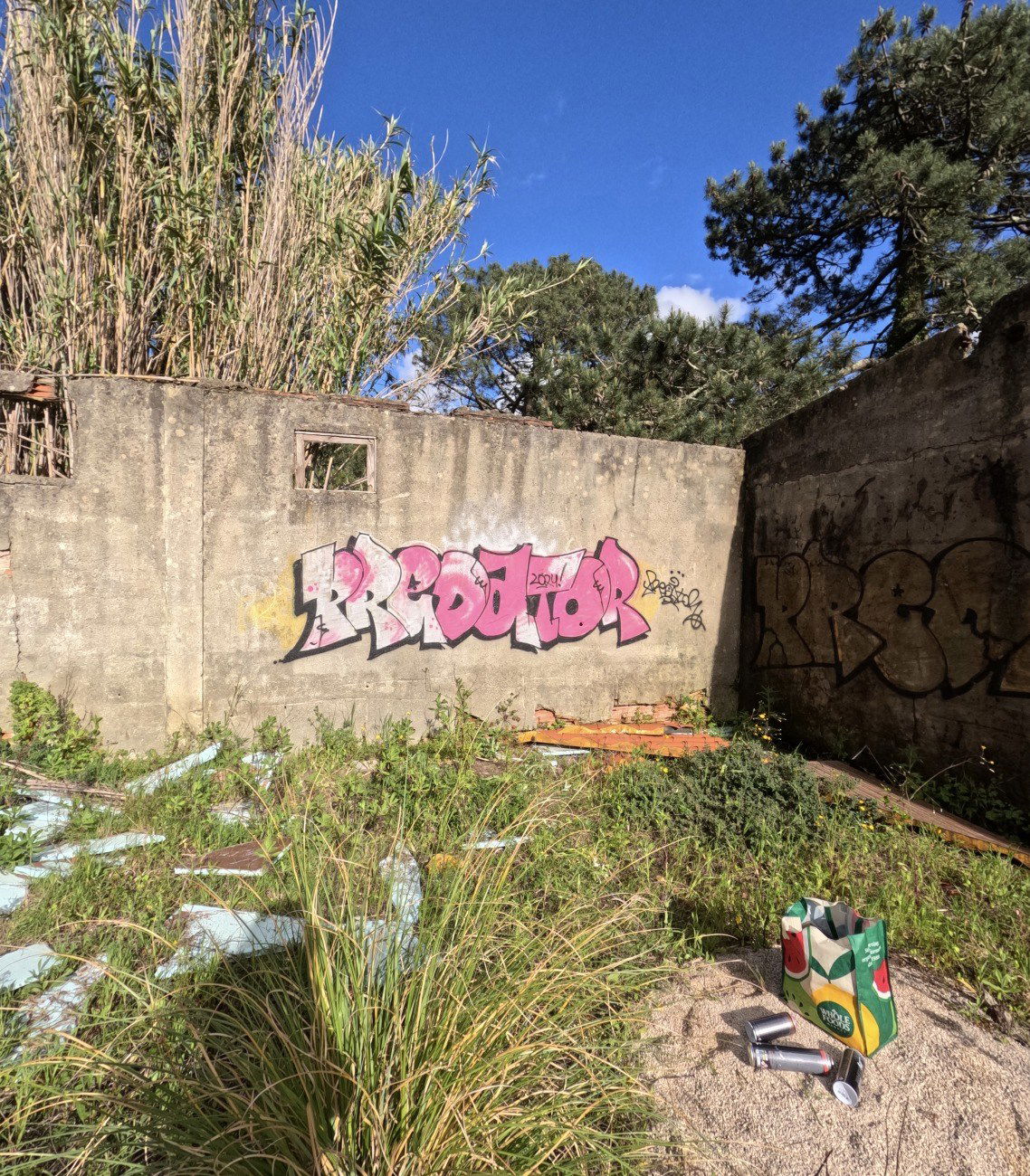 Graffiti Wall in Estrada Da Lagoa Azul - Photo by PredatoR17S (2024)