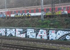 Photo #59664 by LemmYY