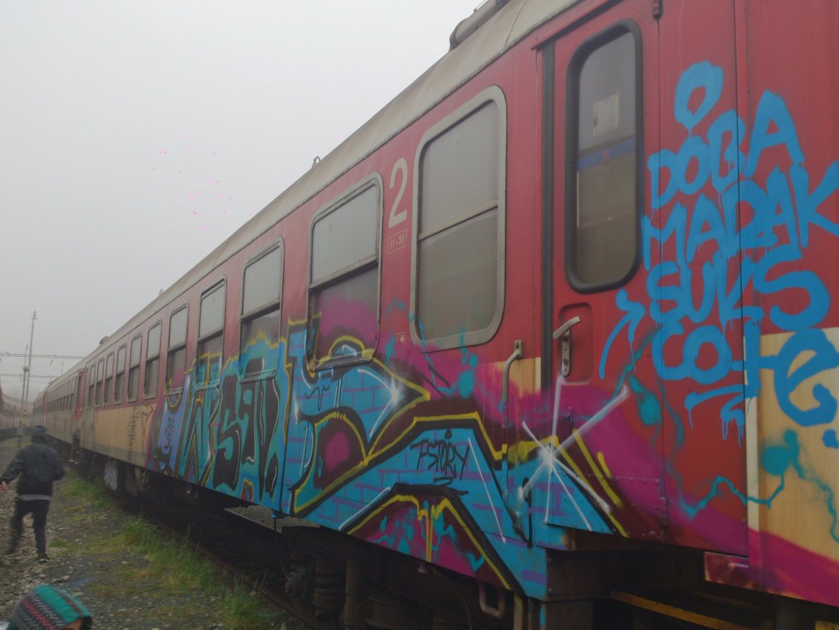 Graffiti Train - Photo by Prepnutymarak - 1WE, SAV, Toy (2014)