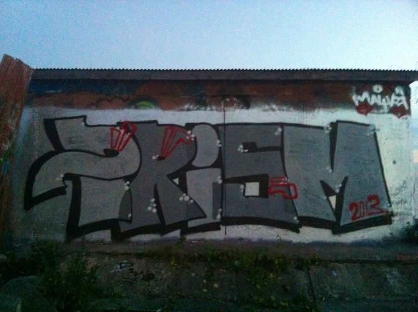 Graffiti Bombing - Photo by Prisma (2013)