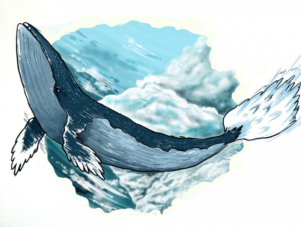 Graffiti Sketch - Photo by Ptah214