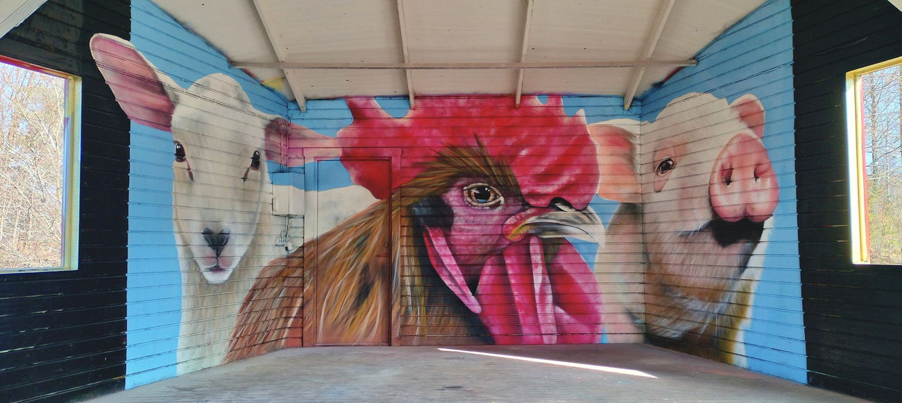 Graffiti Wall - Photo by Punta (2026)