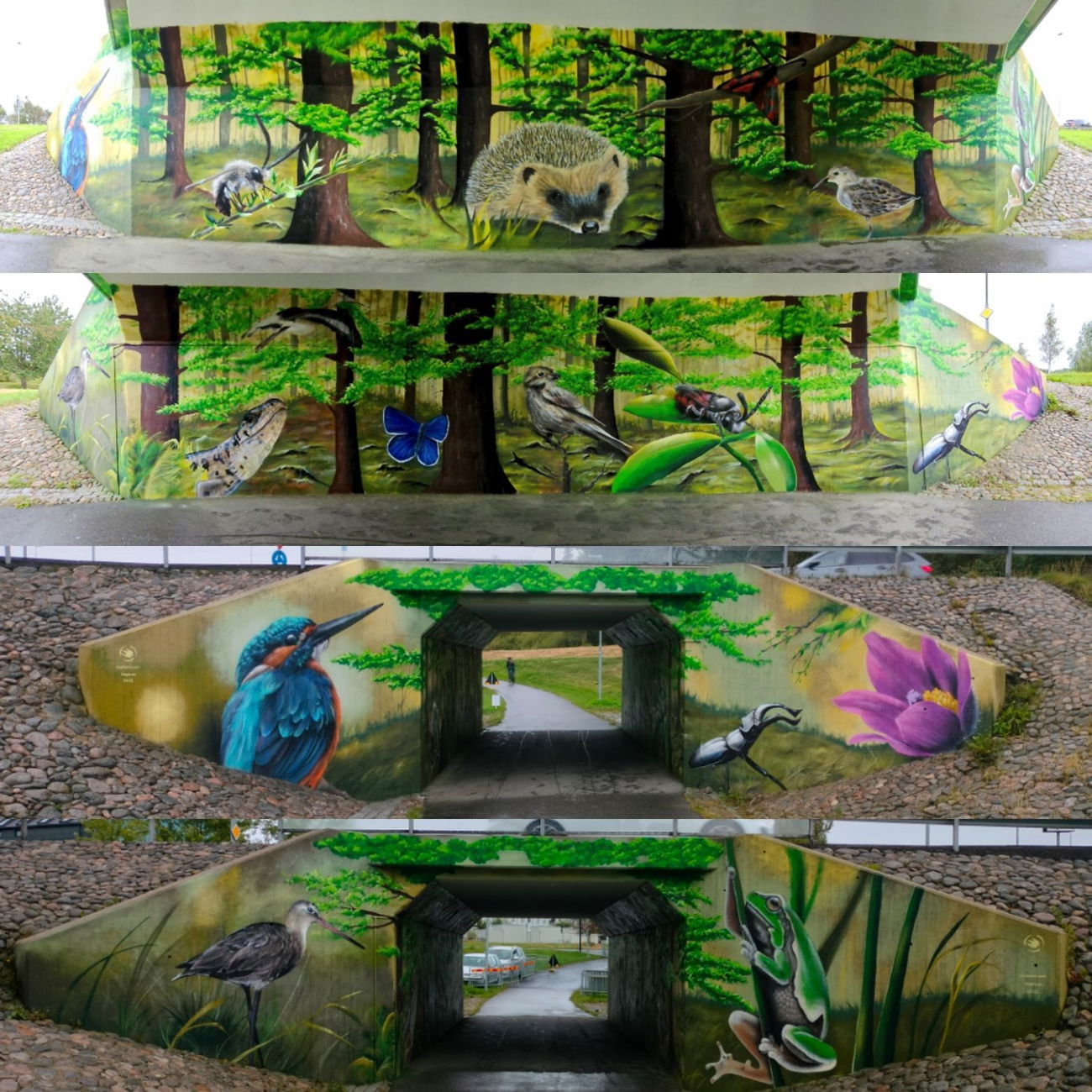 Graffiti Wall - Photo by Punta (2025)