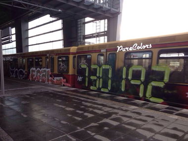 Graffiti Train - Photo by PureColors - tba, egal, spider (2013)