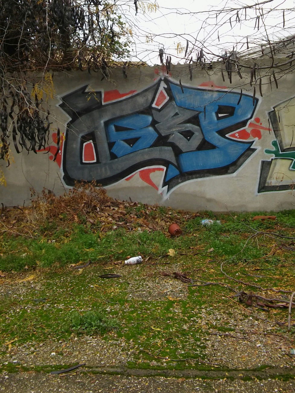 Graffiti Bombing - Photo by PureWa - Dsers, Dsc, 3p (2014)