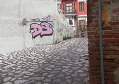 Photo #214659 by Homs