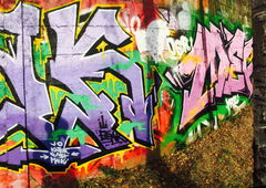 Photo #178758 by TagHagel