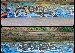 Photo #249325 by iobe1