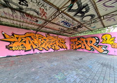 Photo #249337 by iobe1