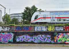 Photo #249373 by iobe1