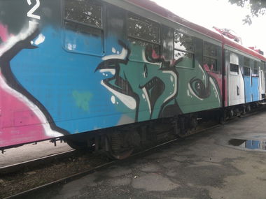 Graffiti Train - Photo by QruzeOne - frc, fr, dkv