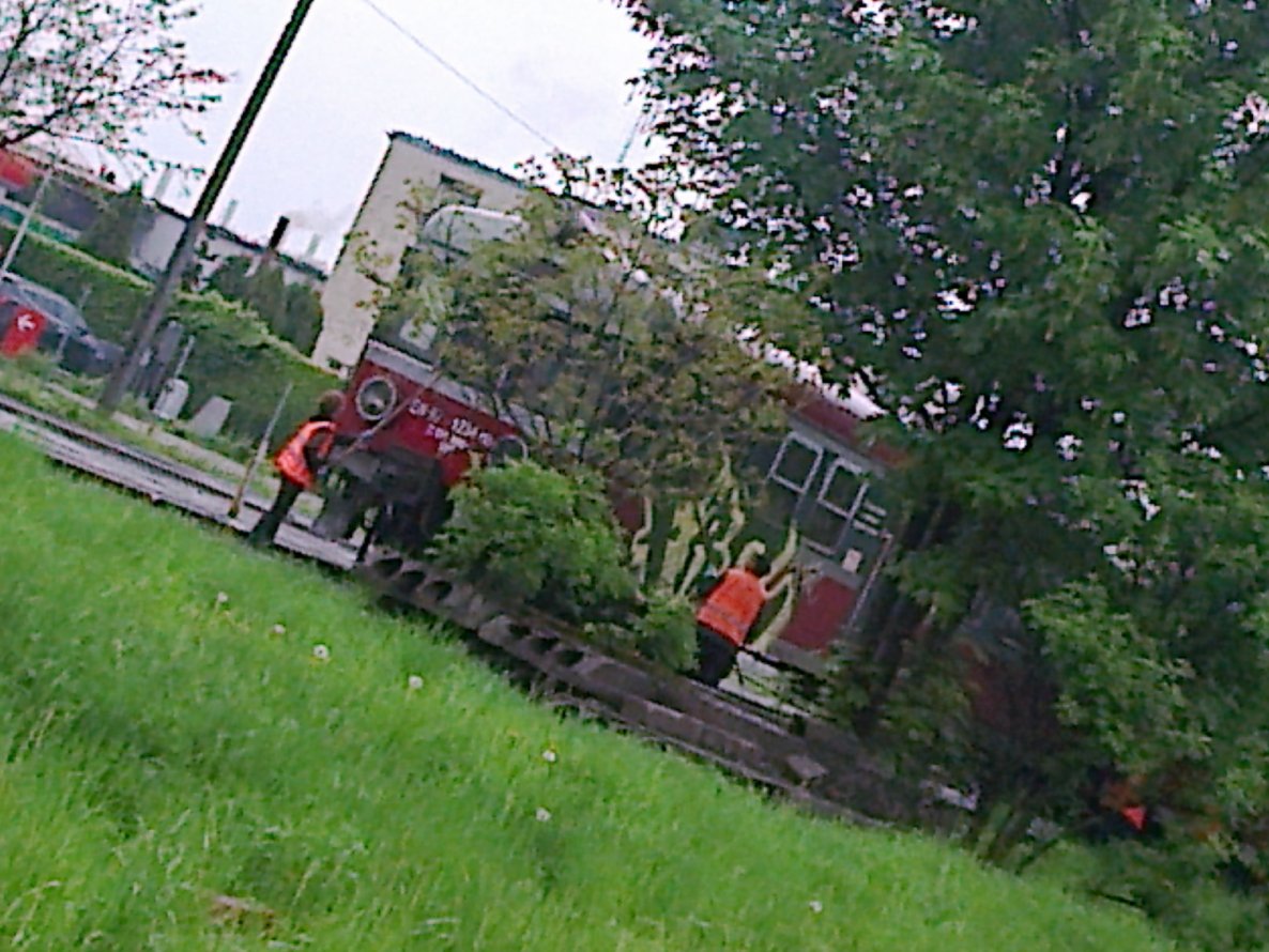 Graffiti Train - Photo by QruzeOne - frc, fr, buff