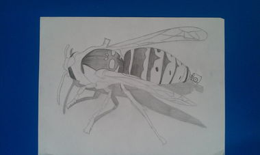 Graffiti Sketch - Photo by QualiTade