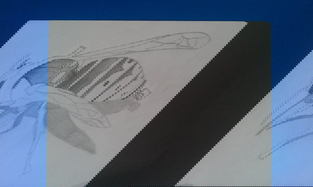 Graffiti Sketch - Photo by QualiTade