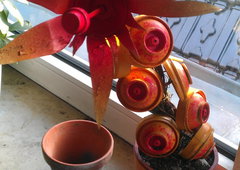 Photo #52356 by Tisot