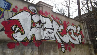 Graffiti Bombing - Photo by QuazOne9Five (2016)