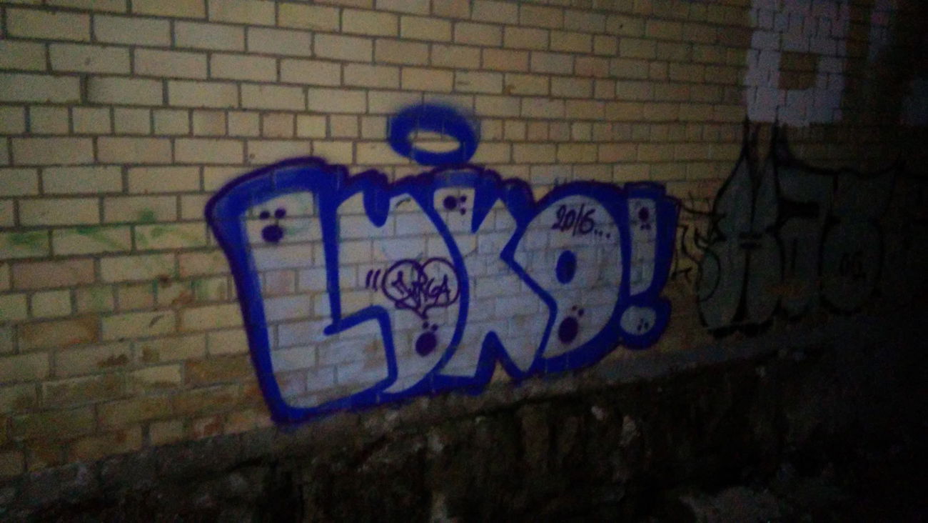 Graffiti Bombing - Photo by QuazOne9Five (2016)