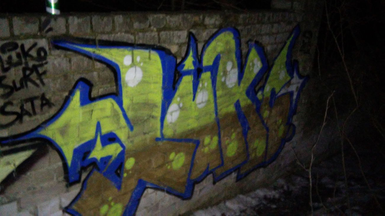 Graffiti Bombing - Photo by QuazOne9Five (2016)