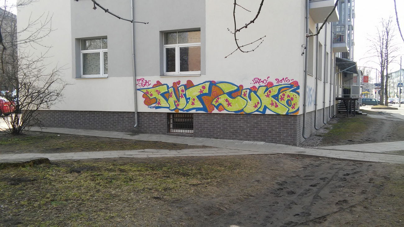 Graffiti Bombing - Photo by QuazOne9Five (2016)