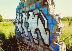 Photo #5276 by Sashastaf111