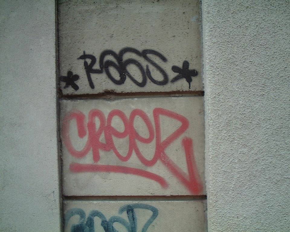 Graffiti Bombing - Photo by RAGS - RAGS