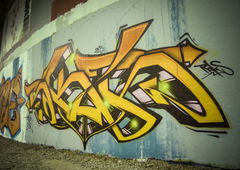 Photo #16025 by Belt