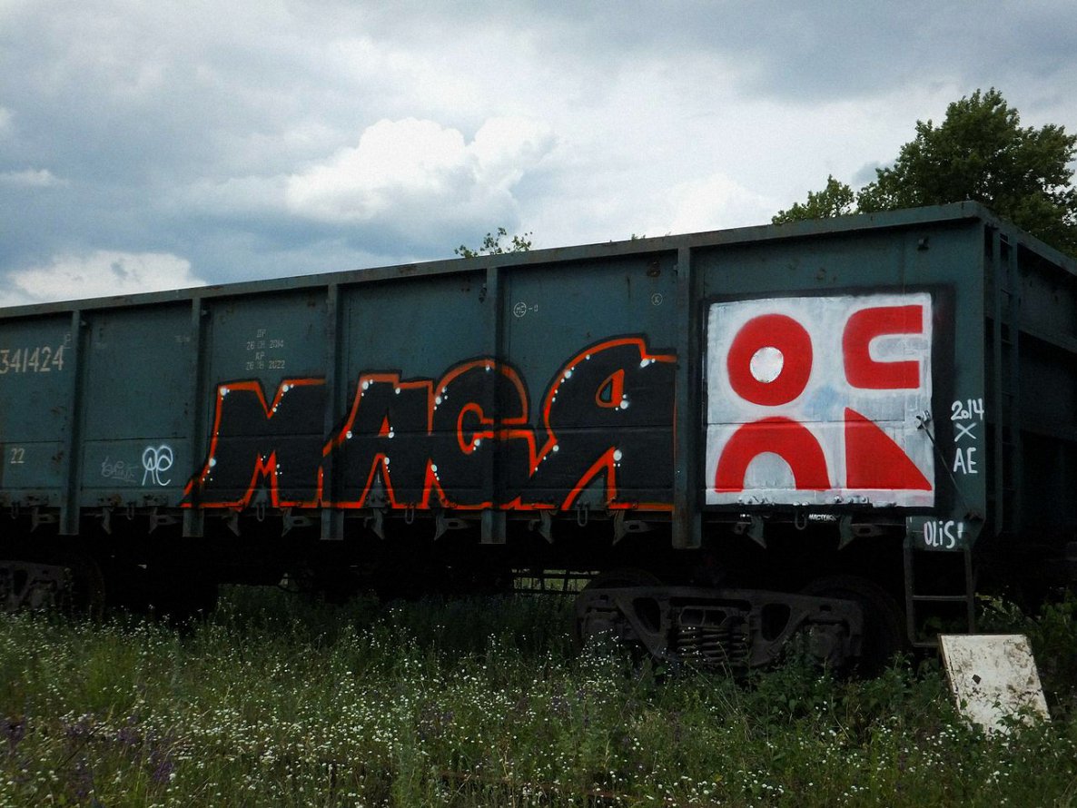 Graffiti Train - Photo by RANZO