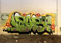 Photo #249002 by DonroSNP