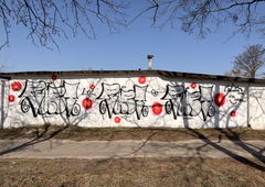 Photo #249038 by iobe1