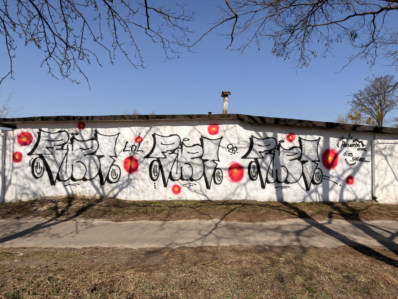 Graffiti Bombing in Brest - Photo by RAPT (2026)