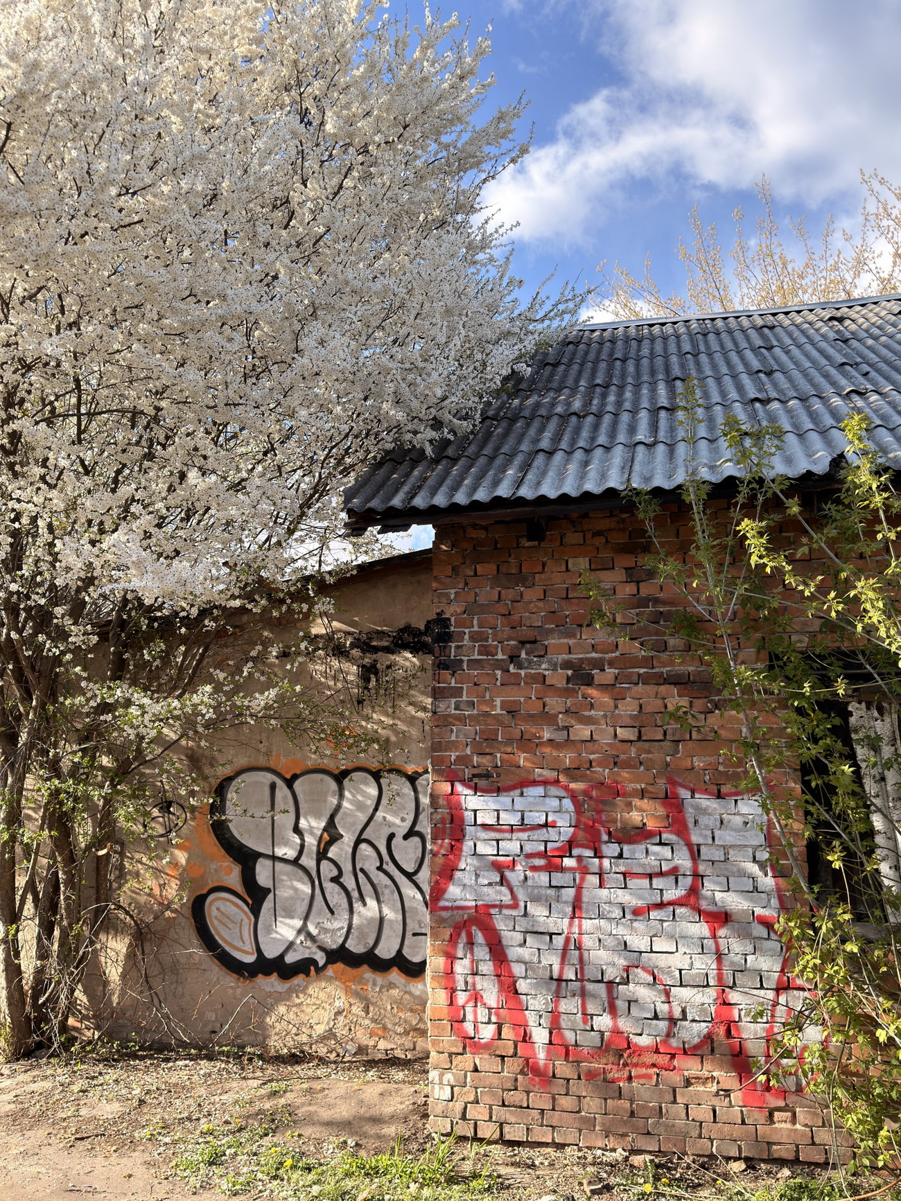 Graffiti Bombing in Brest - Photo by RAPT (2026)