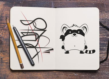 Graffiti Sketch - Photo by RASH - SKetchbook, RASH, Racoon (2014)