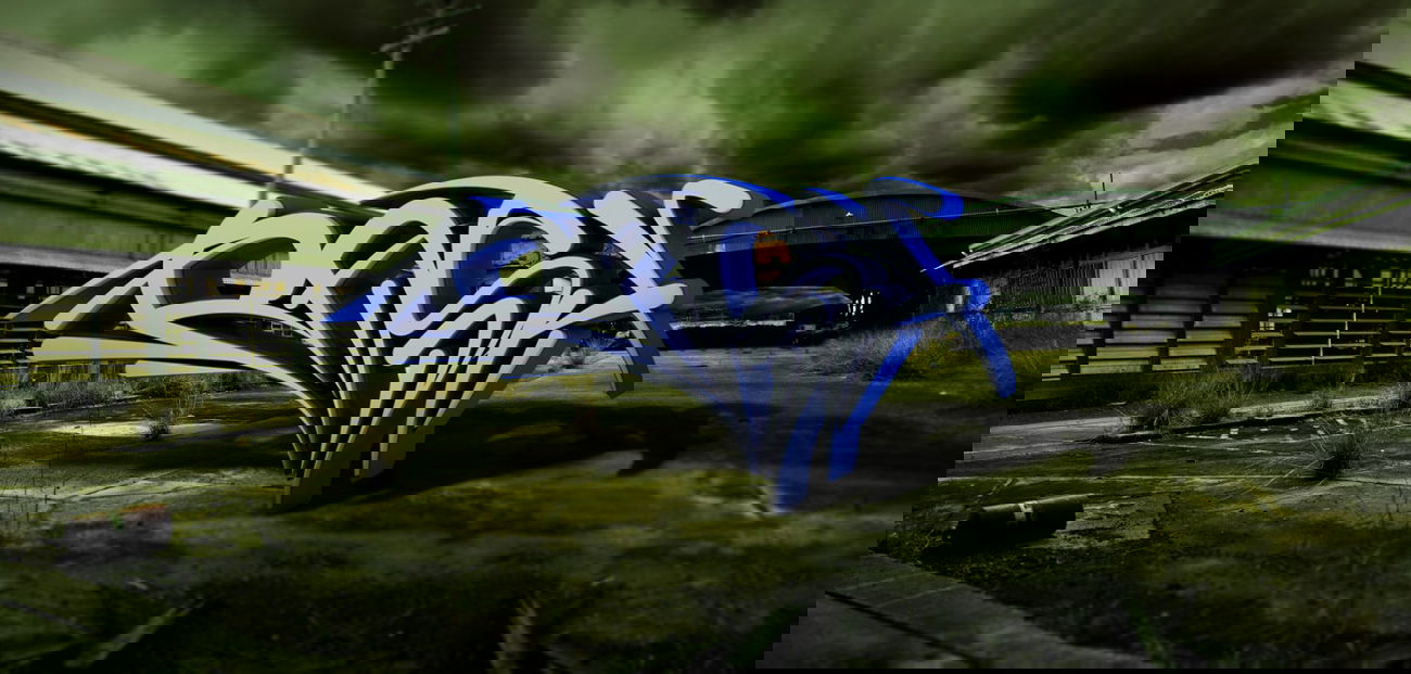 Graffiti Artwork - Photo by RASH - Rash, Trainyard, Adonded (2014)