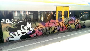 Graffiti Train - Photo by RATTENSOHN - MASK, REGS, TIER (2013)