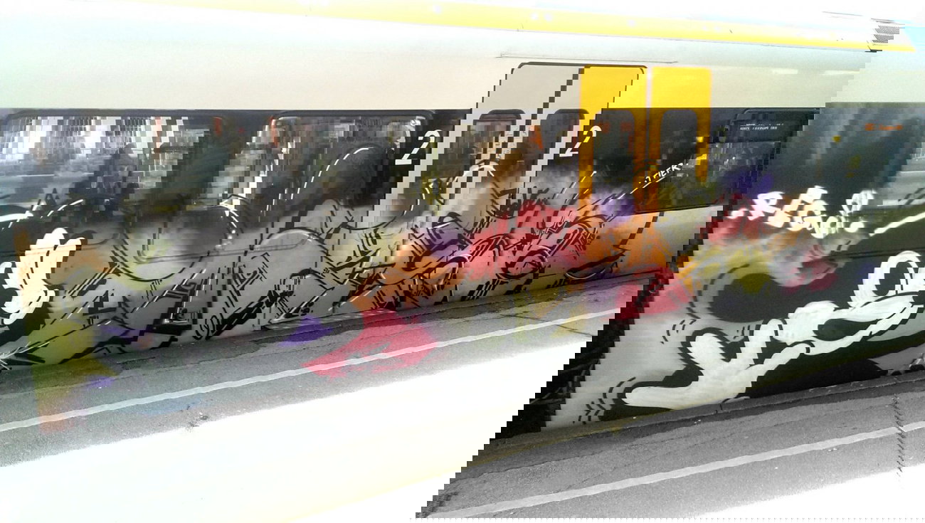 Graffiti Train - Photo by RATTENSOHN - MASK, REGS, TIER (2013)