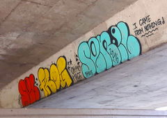Graffiti Bombing - Photo by RATTENSOHN - hacf, oh, frog