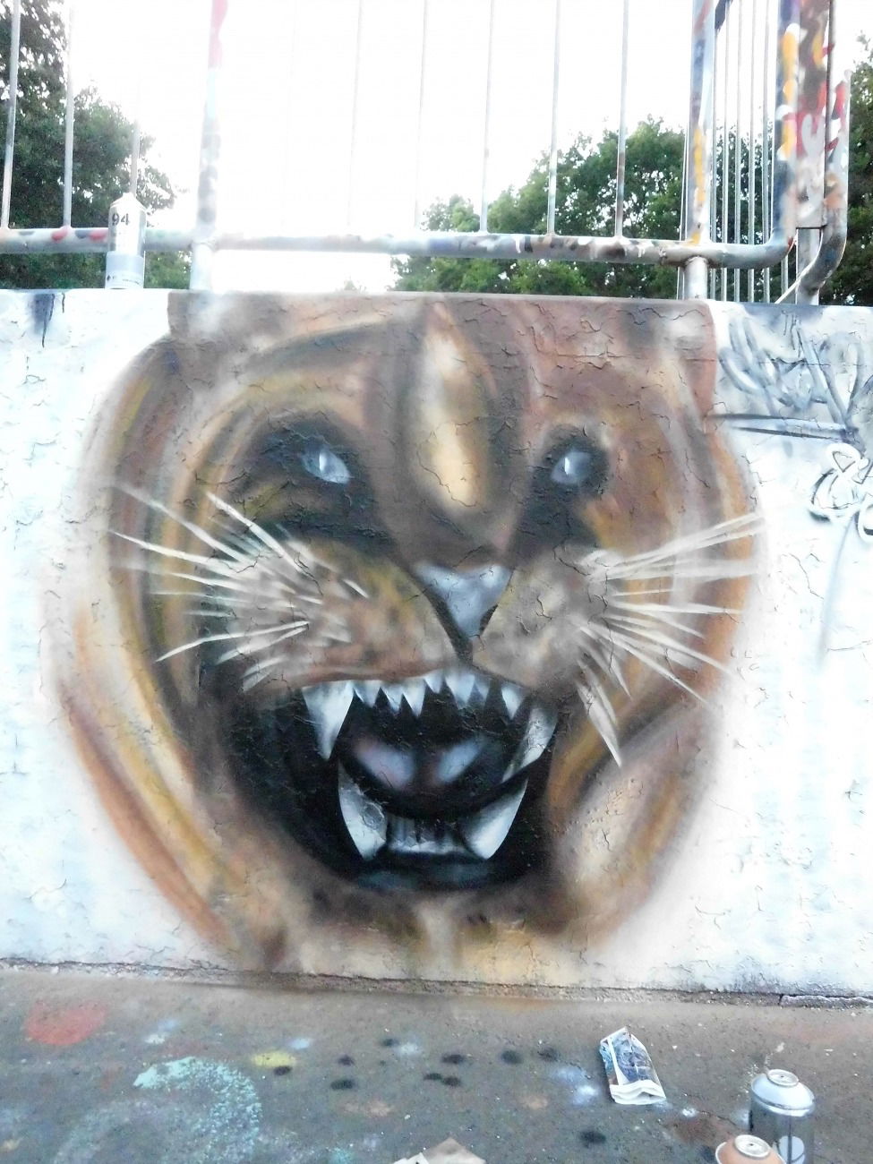 Graffiti Wall - Photo by RAiN846