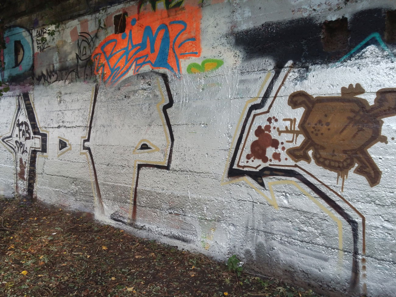 Graffiti Wall - Photo by REAKSTYLEZ34 - DPL, HK, GIFT (2017)